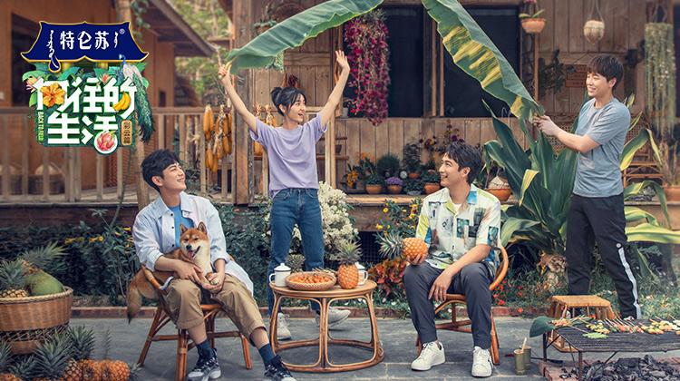 向往的生活第四季